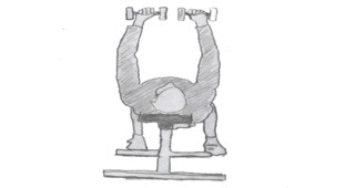 Chest-Dumbbell Bench press