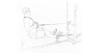 Back-Seated Cable Rows